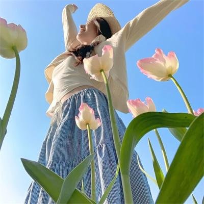 苍兰诀